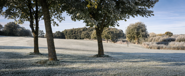 Morgenrimfrost Over Aarhus Golfbane